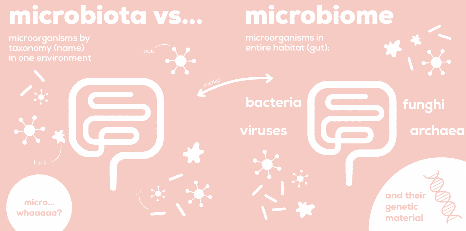 Gut Microbiome Vs Microbiota Infographic The Gut Stuff
