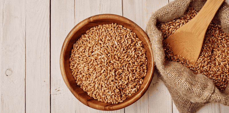 high fibre diet and weight loss