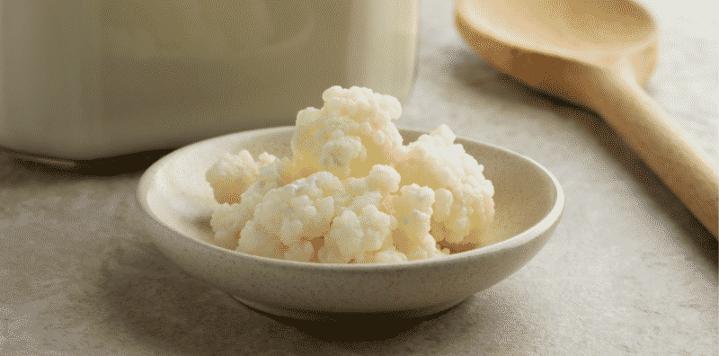 milk kefir