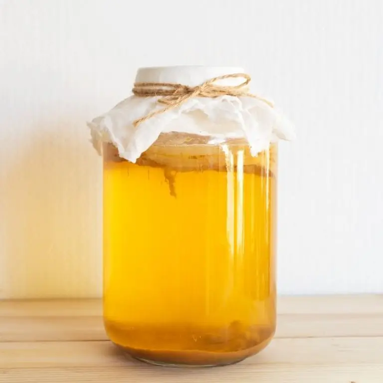How To Make Kombucha Tutorial and Recipe The Gut Stuff