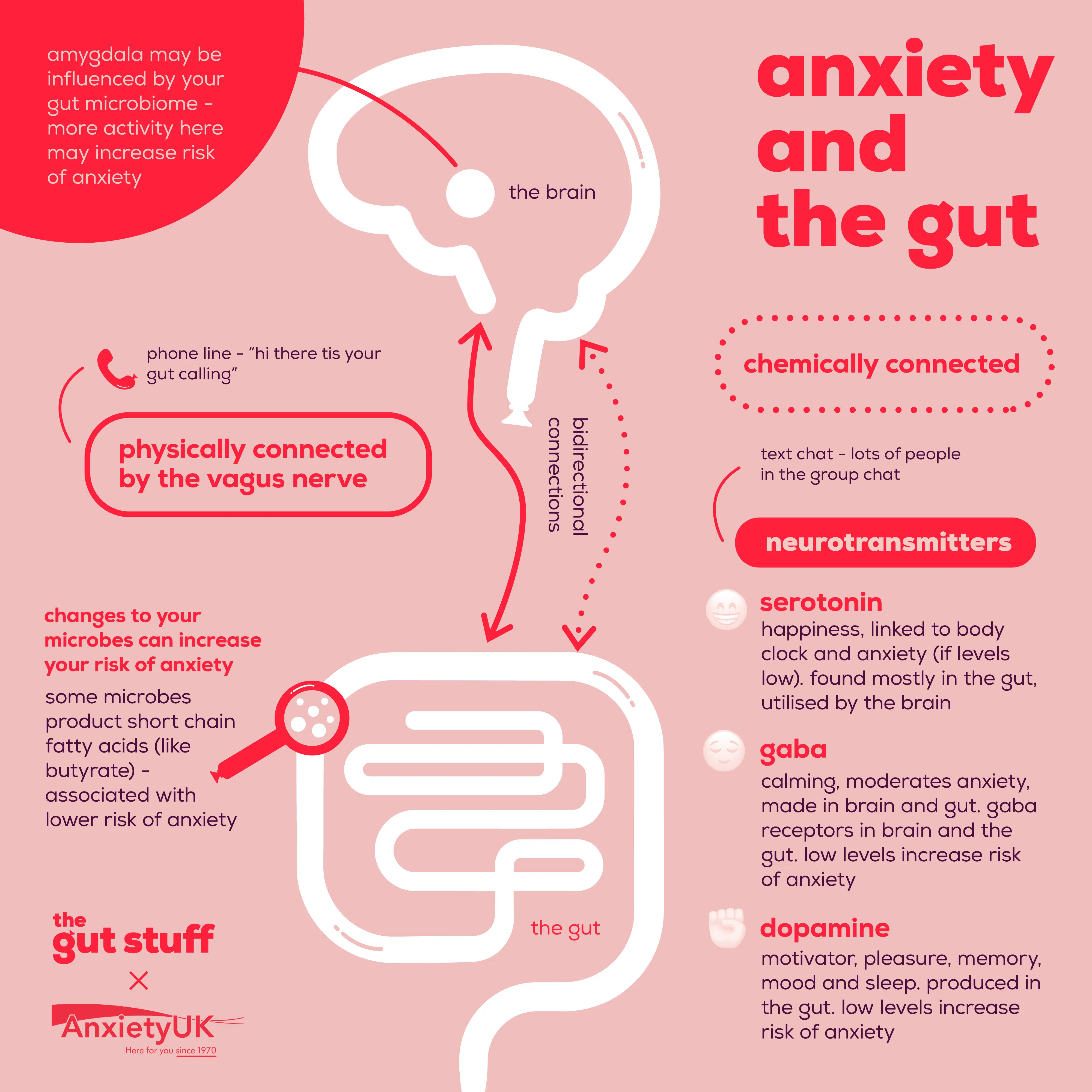 The Brain: All About The Gut-Brain Axis - The Gut Stuff