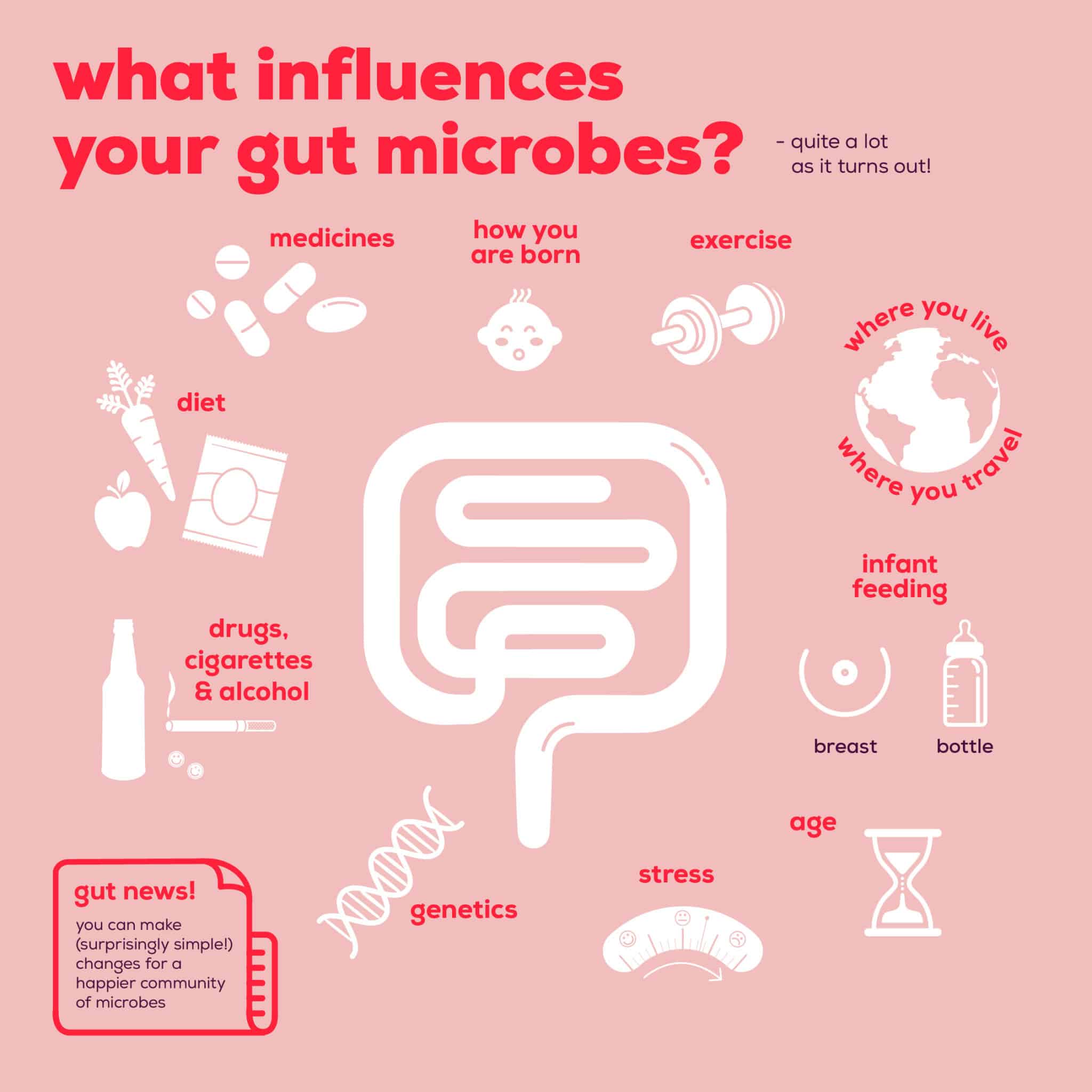 External Factors That Influence The Gut Microbes - The Gut Stuff