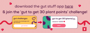 scenza plants Sanchezia Plant – SoulFire Farm